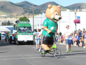 ICCU Sharebear Mascot riding a bike in the 4th of July Parade.